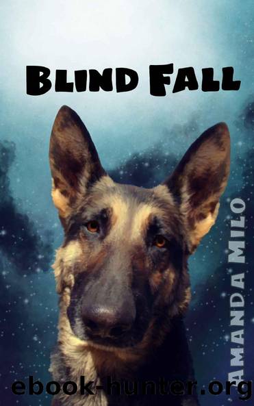 Blind Fall: Alien Mate Romance (Stolen by an Alien Book 5) by Amanda Milo