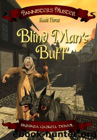 Blind Man's Buff by Barbara Gaskell Denvil