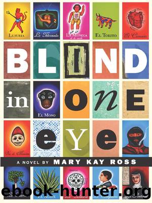 Blind in One Eye by Mary Kay Ross