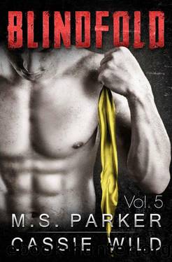 Blindfold Vol. 5: Alpha Billionaire Romance by Parker M. S. & Wild Cassie