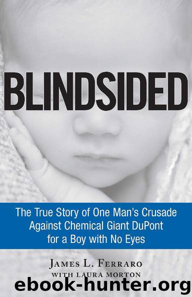 Blindsided by James L. Ferraro & Laura Morton