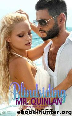 Blindsiding Mr. Quinlan: Fielding-Stone Gallery Book Two by Loni Ree