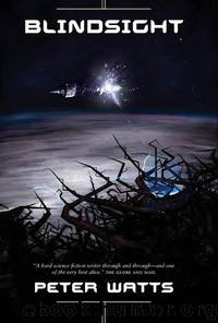 Blindsight by Watts Peter