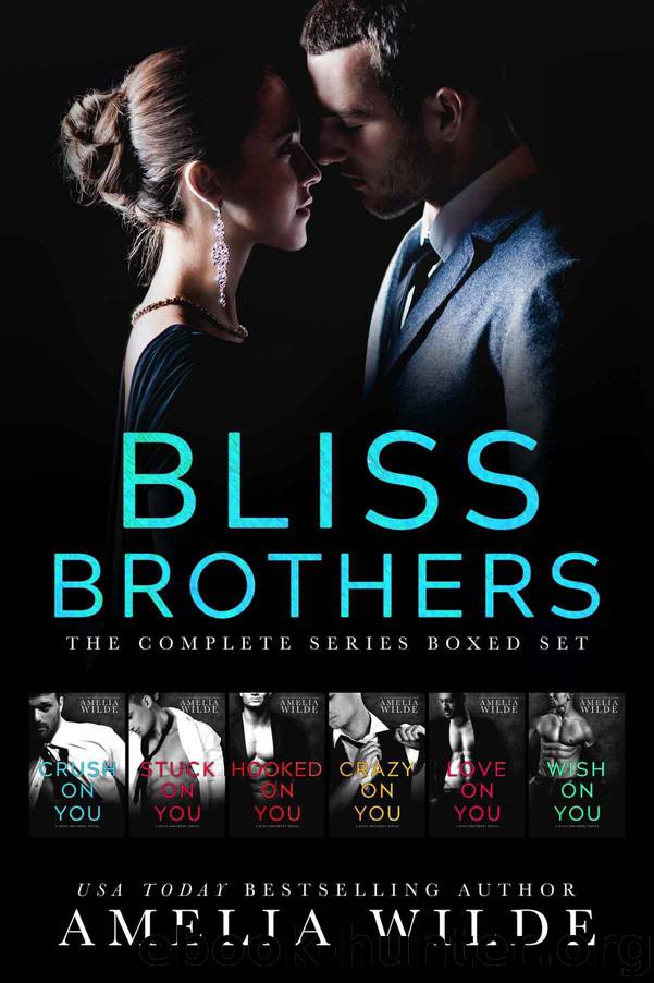 Bliss Brothers: The Complete Series Boxed Set by Wilde Amelia