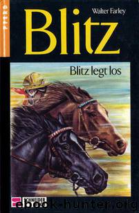 Blitz legt los by Farley Walter