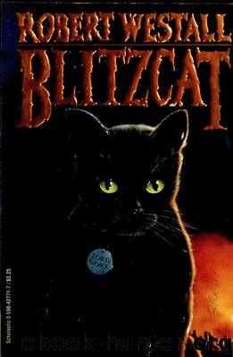 Blitzcat by Robert Westall