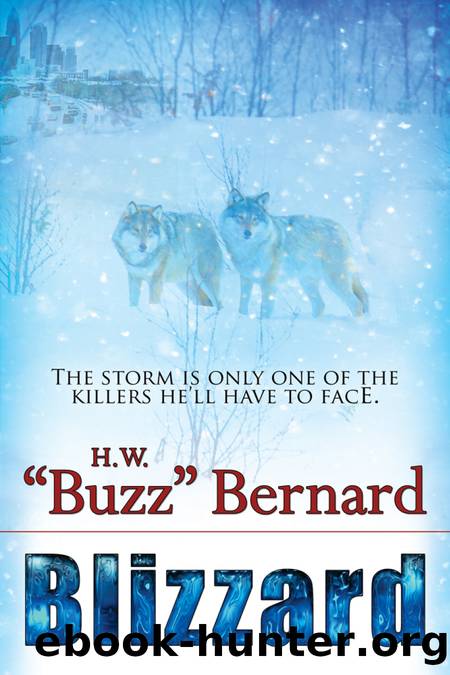 Blizzard by H. W. Buzz Bernard