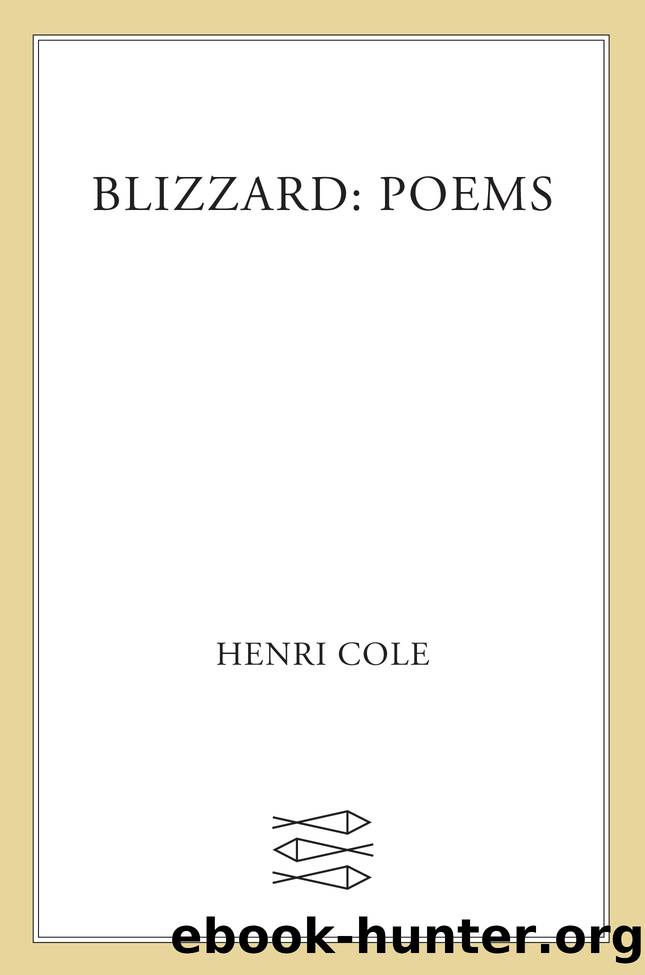 Blizzard by Henri Cole