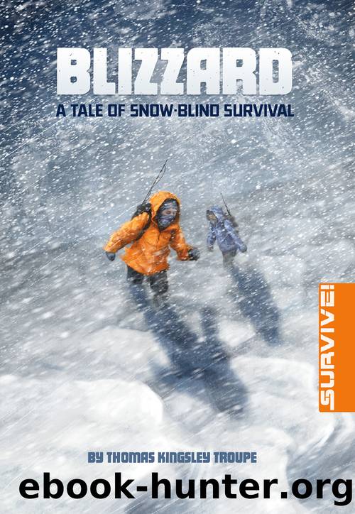 Blizzard by Kirbi Fagan