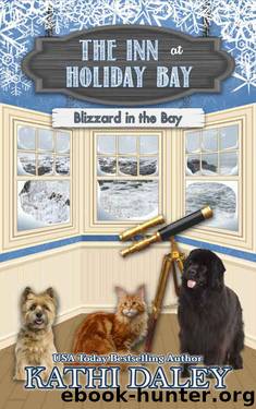 Blizzard in the Bay by Kathi Daley