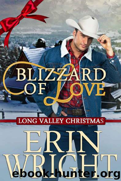 Blizzard of Love - A Long Valley Romance: Country Western Small Town Christmas Novella by Erin Wright