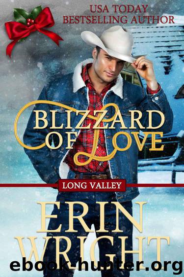 Blizzard of Love: A Western Romance Novella (Long Valley Book 2) by Wright Erin