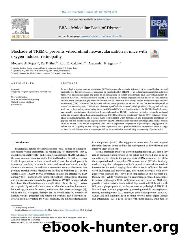 Blockade of TREM-1 prevents vitreoretinal neovascularization in mice with oxygen-induced retinopathy by Modesto A. Rojas & Zu T. Shen & Ruth B. Caldwell & Alexander B. Sigalov