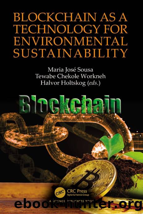 Blockchain as a Technology for Environmental Sustainability by Maria José Sousa & Tewabe Chekole Workneh & Halvor Holtskog
