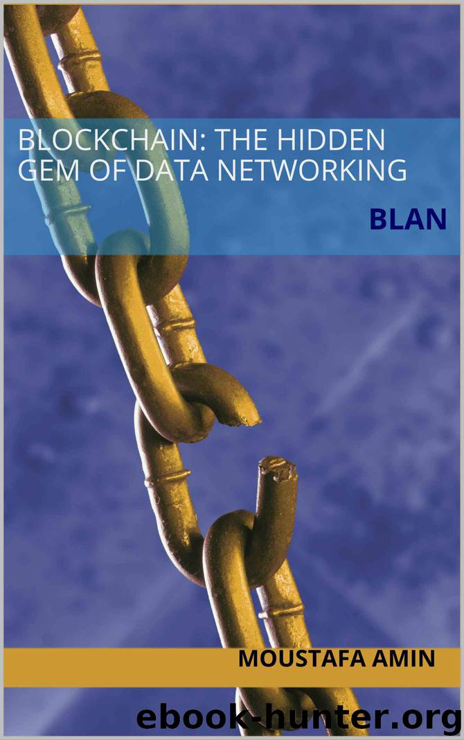 Blockchain: The Hidden Gem of Data Networking: BLAN by Moustafa Amin