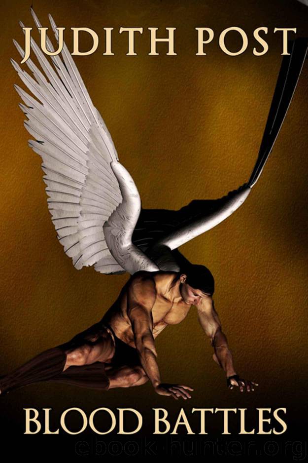 Blood Battles (Fallen Angels Book 2) by Post Judith