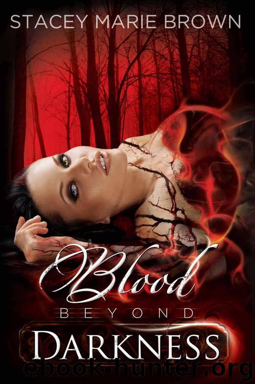 Blood Beyond Darkness by Brown Stacey Marie