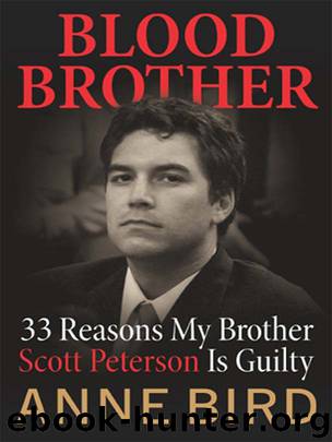 Blood Brother by Anne Bird