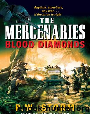Blood Diamonds by P. W. Storm