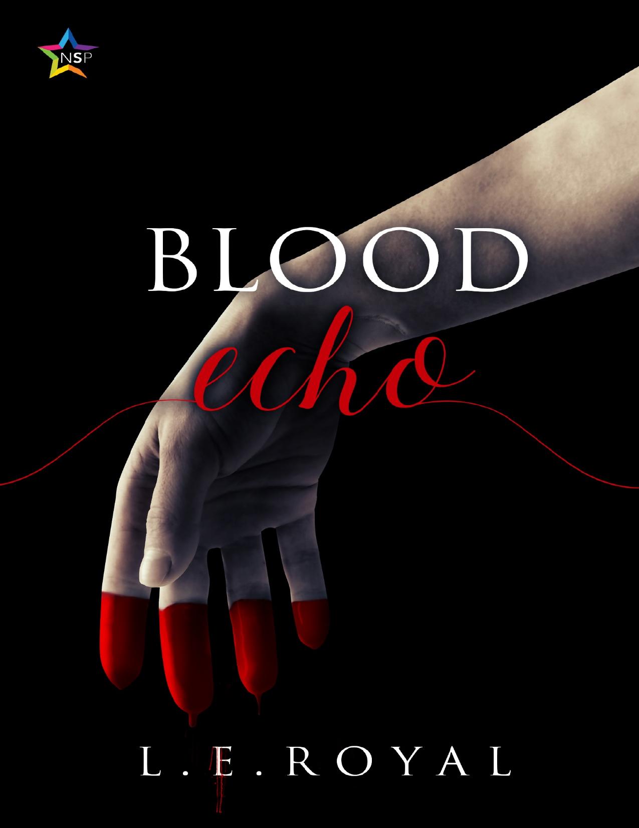 Blood Echo by L E Royal