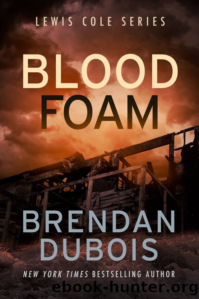 Blood Foam (Lewis Cole Book 9) by Brendan DuBois