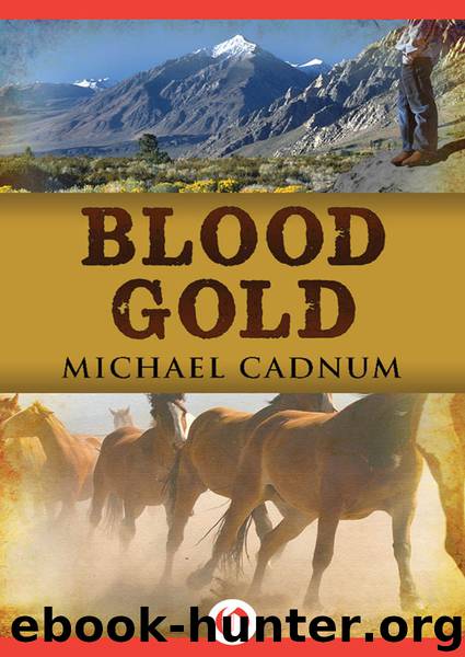 Blood Gold by Michael Cadnum