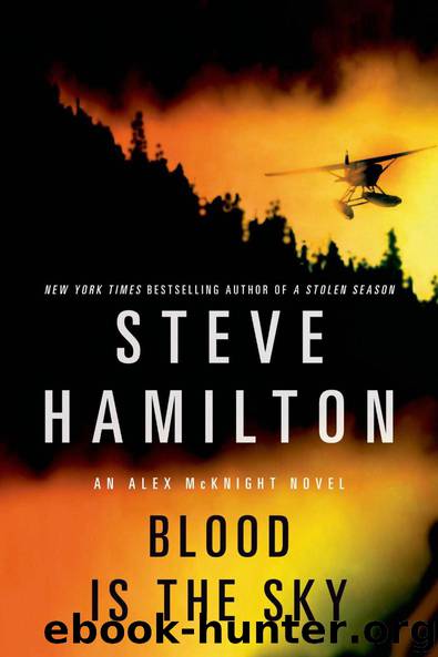 Blood Is the Sky: An Alex McKnight Mystery by Steve Hamilton