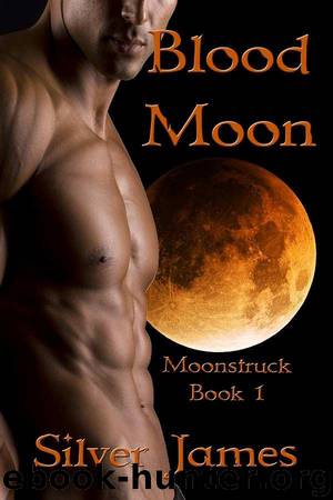 Blood Moon (Moonstruck) by James Silver
