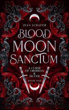 Blood Moon Sanctum: The gods are dead. It's time for the reign of kings. (A Curse of Obsidian & Silver Book 1) by Zian Schafer