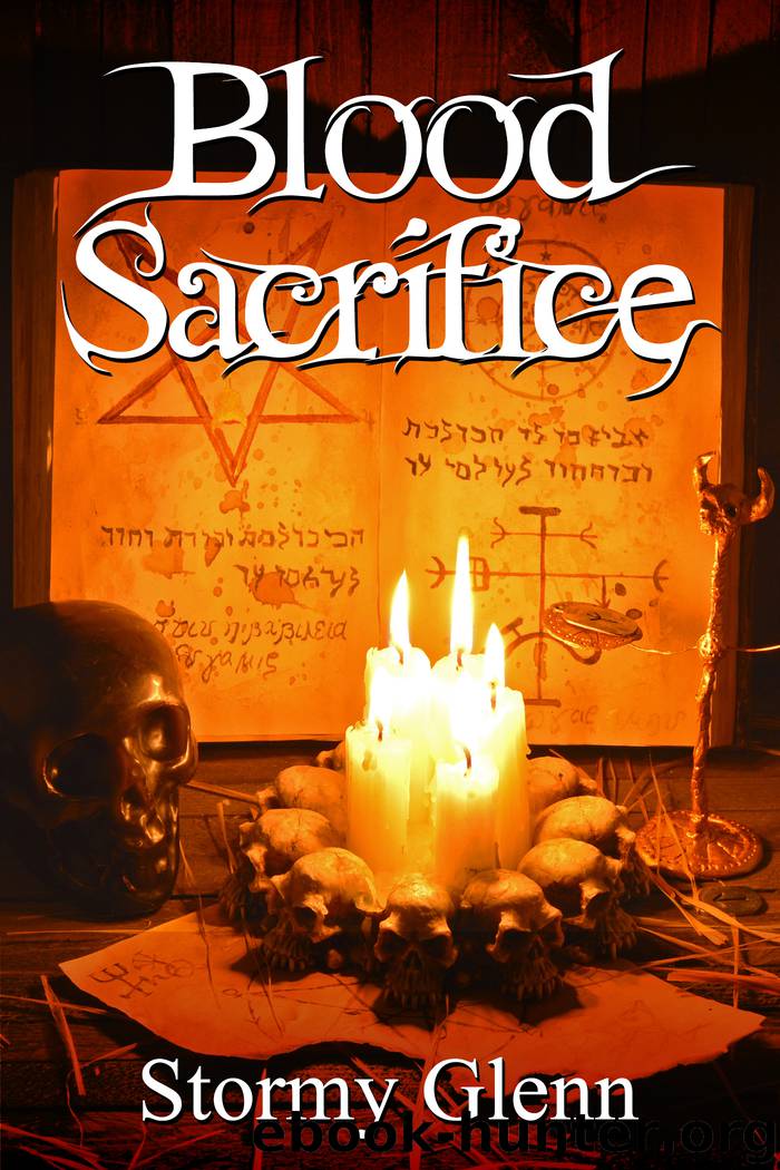 Blood Sacrifice by Stormy Glenn