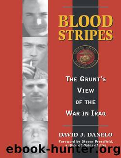 Blood Stripes by David Danelo