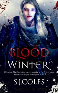 Blood Winter by S.J. Coles
