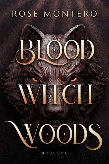 Blood Witch Woods by Rose Montero