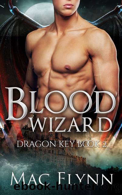 Blood Wizard by Mac Flynn