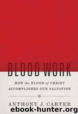 Blood Work: How the Blood of Christ Accomplishes Our Salvation by Carter Anthony J