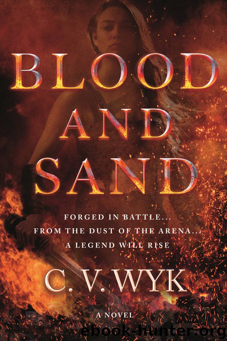 Blood and Sand by C. V. Wyk