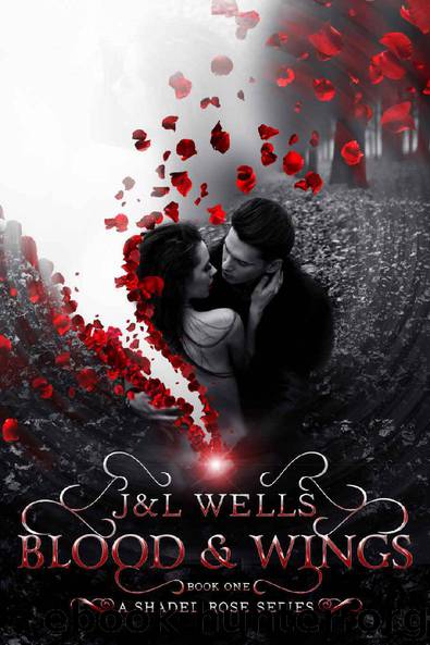 Blood and wings by J Wells & L Wells