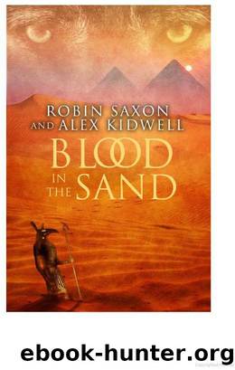 Blood in the Sand by Robin Saxon & Alex Kidwell