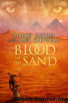 Blood in the Sand by Robin Saxon; Alex Kidwell