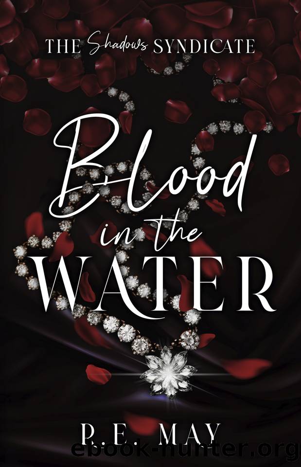 Blood in the Water: A Why Choose Mafia Romance (The Shadows Syndicate Book 1) by RE May