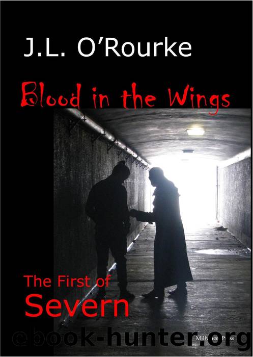 Blood in the Wings by J. L. O'Rourke