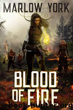 Blood of Fire by Marlow York