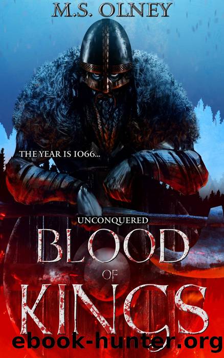 Blood of Kings by M.S Olney
