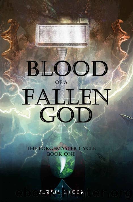 Blood of a Fallen God by Joshua C Cook