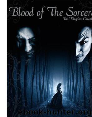 Blood of the Sorcerer by B.C. Morin