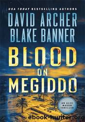 Blood on Megiddo by David Archer