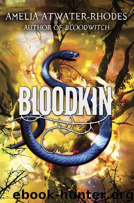 Bloodkin by Amelia Atwater-Rhodes