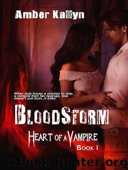 Bloodstorm (Heart of a Vampire, Book 1) by Kallyn Amber