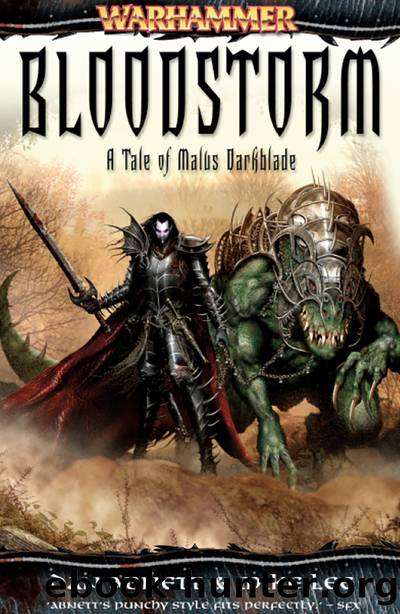 Bloodstorm by Dan Abnett & Dan Abnett