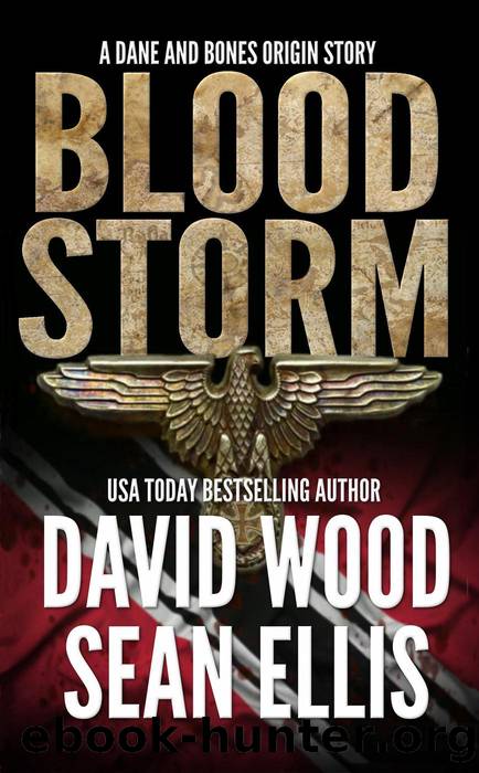 Bloodstorm- a Dane and Bones Origin Story by David Wood & Sean Ellis